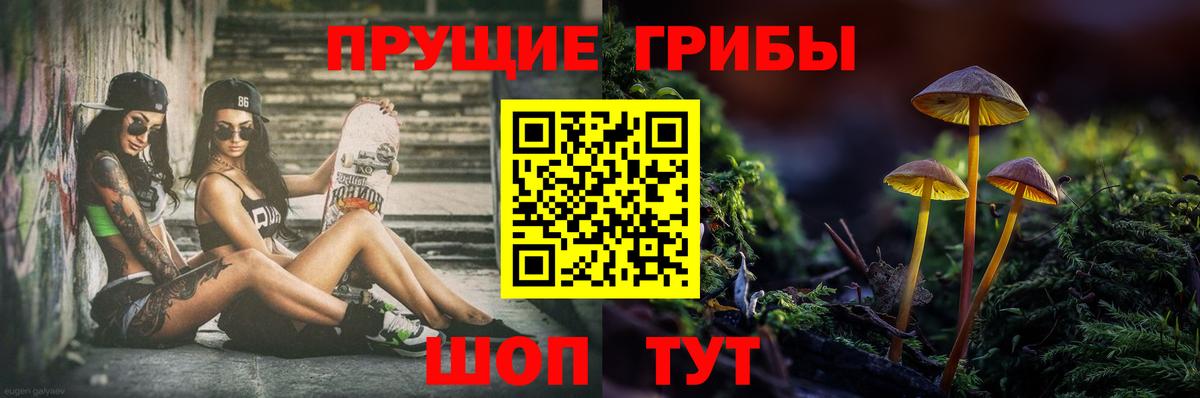 Скопин  Псилоцибиновые грибы Magic Shrooms  Псилоцибиновые грибы Magic Shrooms  Вход с VPN 